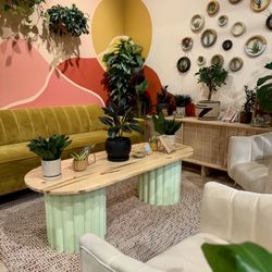 Viridian Plant - Sitting lounge amongst the plants