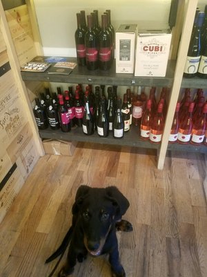 Vyne Yard Wine Shop by null