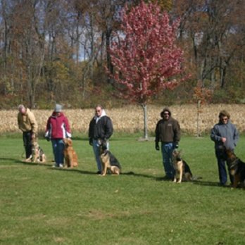 Rodak Dog Training - Pet Training Near Me - Rubicon, Wisconsin Rodak Dog Training - Pet Training Near Me - Rubicon, Wisconsin