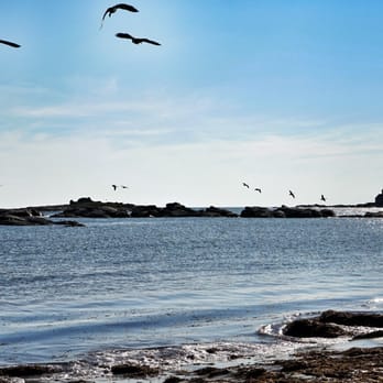 Gooseberry Beach - View of the beach - Beaches Near Me - Newport, Rhode Island