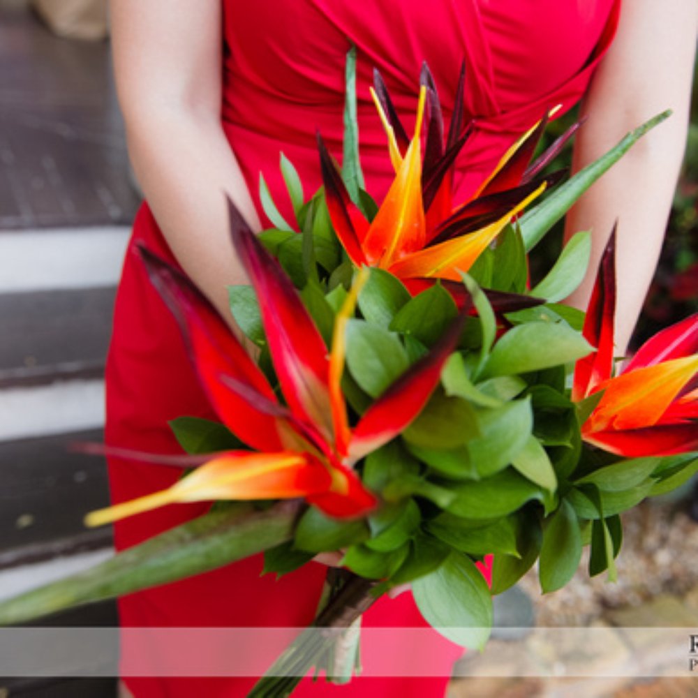 Soiree Key West - Three of the bridesmaid bouquets. - Party & Event Planning Near Me Soiree Key West - Three of the bridesmaid bouquets. - Party & Event Planning Near Me
