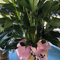 9.15 Floral Designs & Gifts