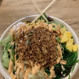Tuna Spicy Salmon
