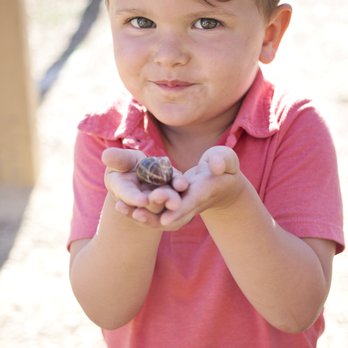 Shining Light Preschool - Snail finds outside! - Preschools Near Me - Pleasanton, California Shining Light Preschool - Snail finds outside! - Preschools Near Me - Pleasanton, California