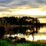 Photo of Texas Airstream Harbor