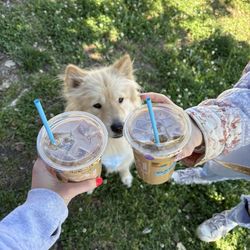 321 Coffee - Farmers Market - Carrot cake iced latte