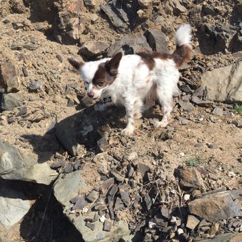 Point Mugu State Park - My Austin is a mountain goat! - Parks Near Me - Malibu, California Point Mugu State Park - My Austin is a mountain goat! - Parks Near Me - Malibu, California