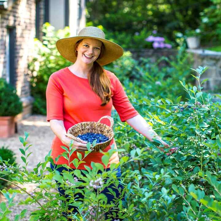 A Bloom Garden Center