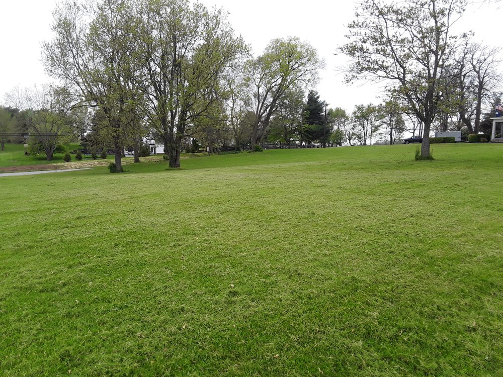 KENTUCKY BACKYARD LAWNCARE AND LANDSCAPE Winchester, Kentucky Lawn