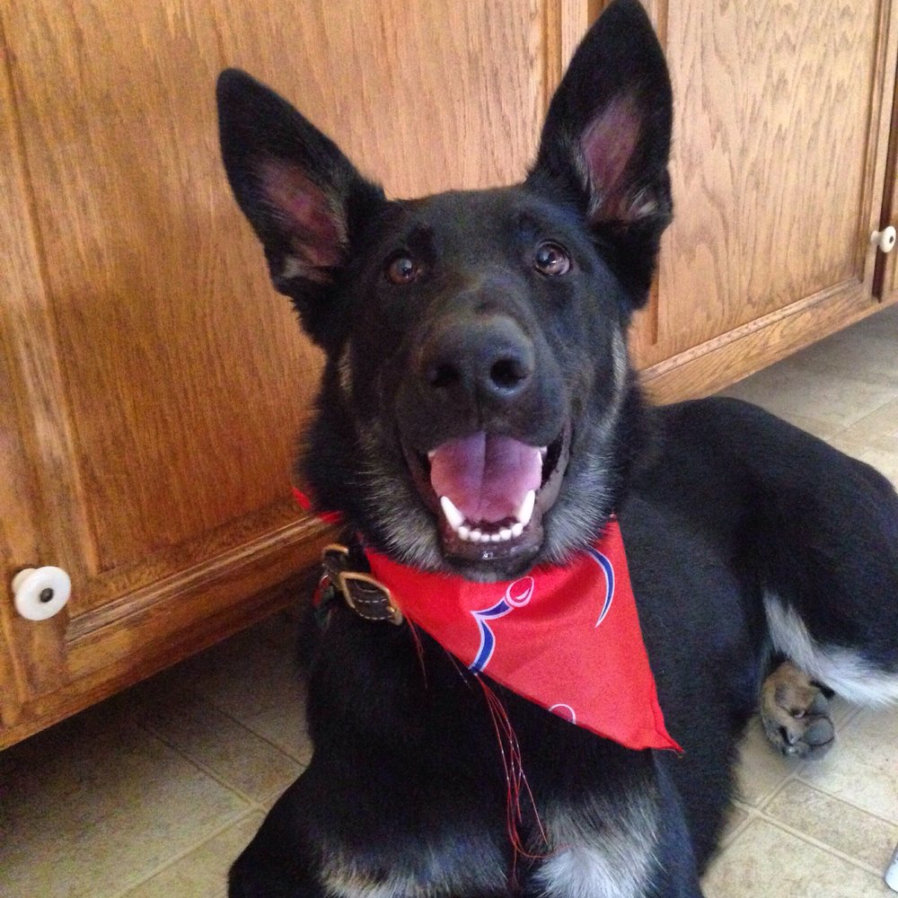 PetSmart - Thanks Raquel & Candace!! - Pet Stores Near Me - Vacaville, California PetSmart - Thanks Raquel & Candace!! - Pet Stores Near Me - Vacaville, California
