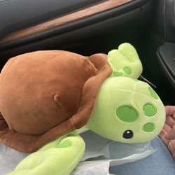 Surf Star - This is the turtle.