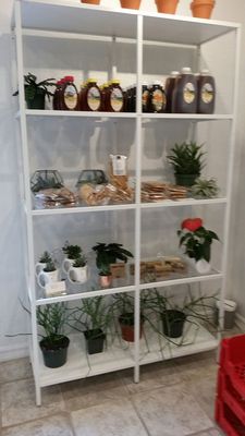 Paloma Parlor by null