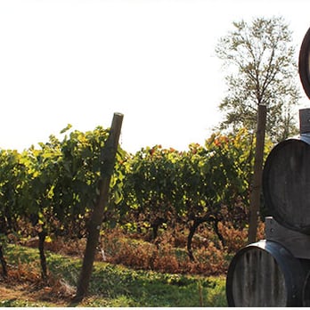 Vancouver Wine Tours By Seg - Township 7 Vineyard via Vancouver Wine Tours by SEG - Wine Tours Near Me - Langley, British Columbia Vancouver Wine Tours By Seg - Township 7 Vineyard via Vancouver Wine Tours by SEG - Wine Tours Near Me - Langley, British Columbia