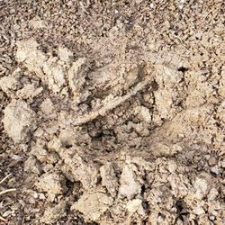 Metro Lawn Sprinkler Services - Drip line tube has stress crack underground to replace on side of garage. Dang Clay Soil here. Tuesday 4/30/2024