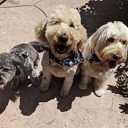 Thanks, Michelle! We had a great day playing with our buddies.