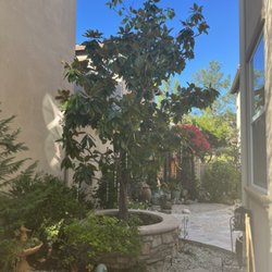 L&P Tree Service