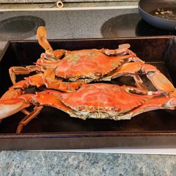 Tidewater Seafood - Jumbo size crabs