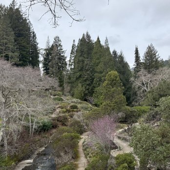 Regional Parks Botanic Garden at Tilden - Botanical Gardens Near Me - Berkeley, California