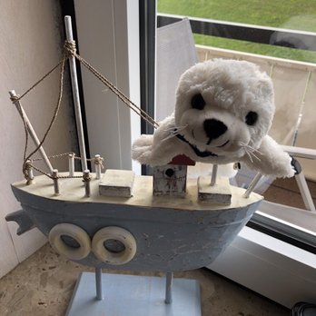 Ideenreich - Kleiner Seehund, gekauft bei Ideenreich. A little seal, bought at Ideenreich. My wife must have it. - Office Equipment Near Me - Cuxhaven, NI