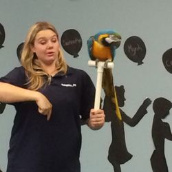 Creative Kids Learning Academy III - Summer Camp - Outraghiss Pets