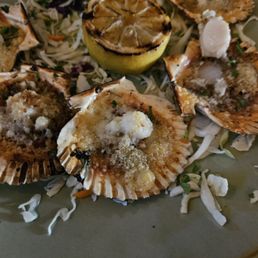 Scallop Appetizer Scallop Appetizer