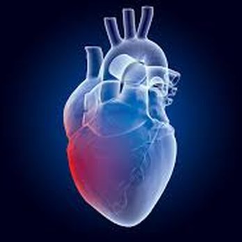 Heartbeat CPR Nationwide - CPR Classes Near Me Heartbeat CPR Nationwide - CPR Classes Near Me
