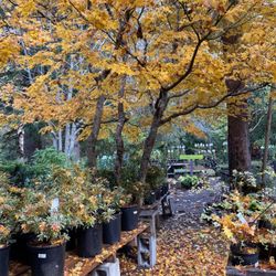 Dragonfly Farm & Nursery