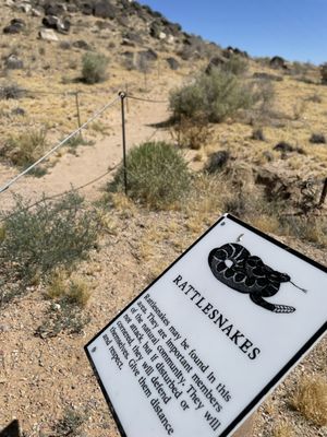 Petroglyph National Monument by null