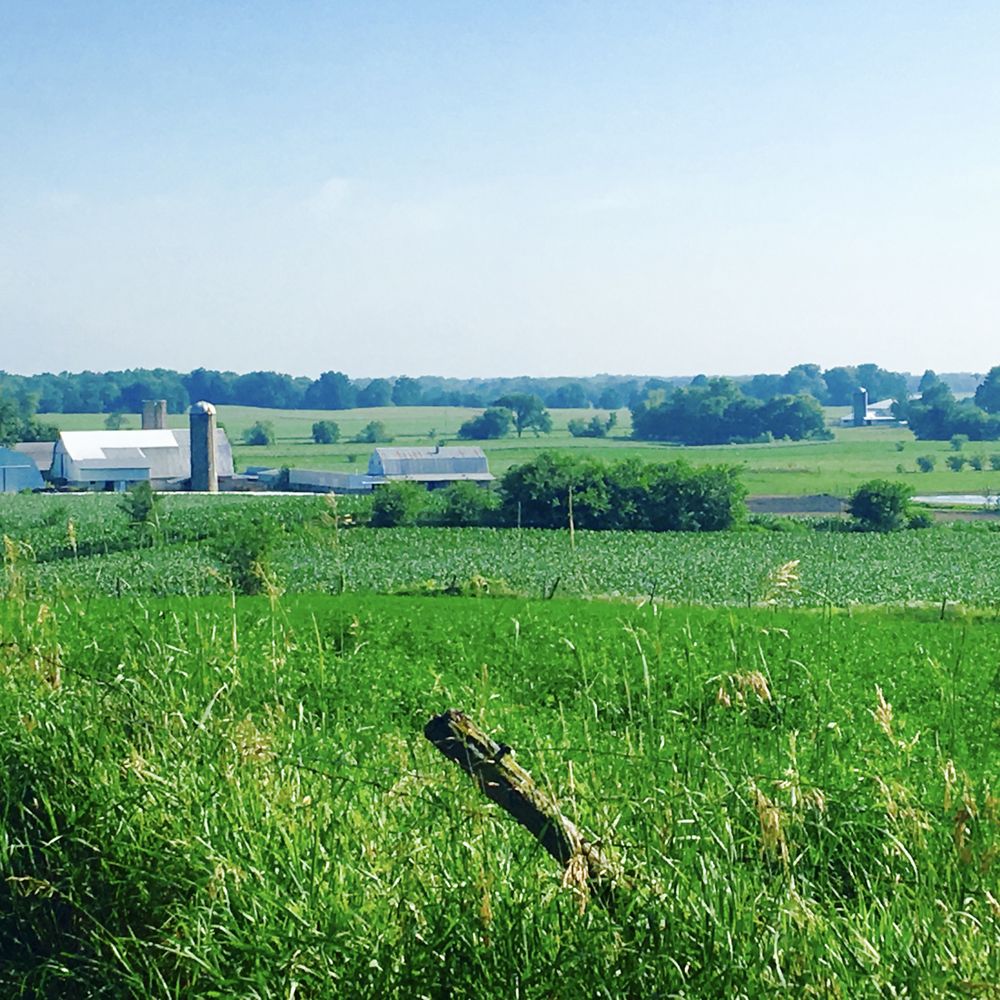 Tantre Farm - CSA Near Me - Chelsea, Michigan Tantre Farm - CSA Near Me - Chelsea, Michigan