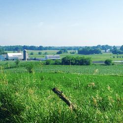 Tantre Farm