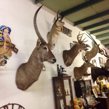 A Place In Time Antiques and Fleamarket - Antiques Near Me - Olathe, Kansas A Place In Time Antiques and Fleamarket - Antiques Near Me - Olathe, Kansas