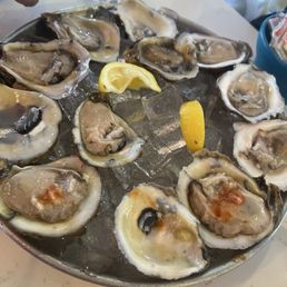 Oysters on the half shell