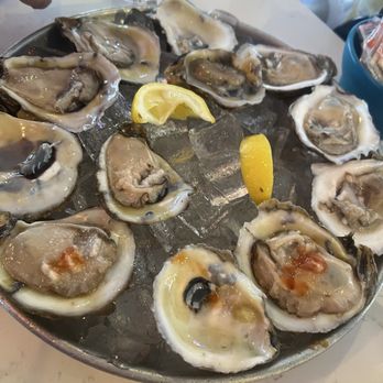 Crab City - Oysters on the half shell - Cajun/Creole Near Me - San Antonio, Texas Crab City - Oysters on the half shell - Cajun/Creole Near Me - San Antonio, Texas