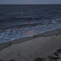 Pickering Beach - Moon rise
