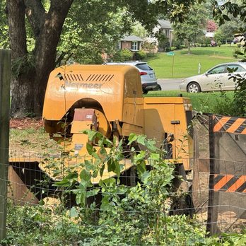 Orleans County Tree Service - Grinding the stumps - Tree Services Near Me - Chester , Virginia