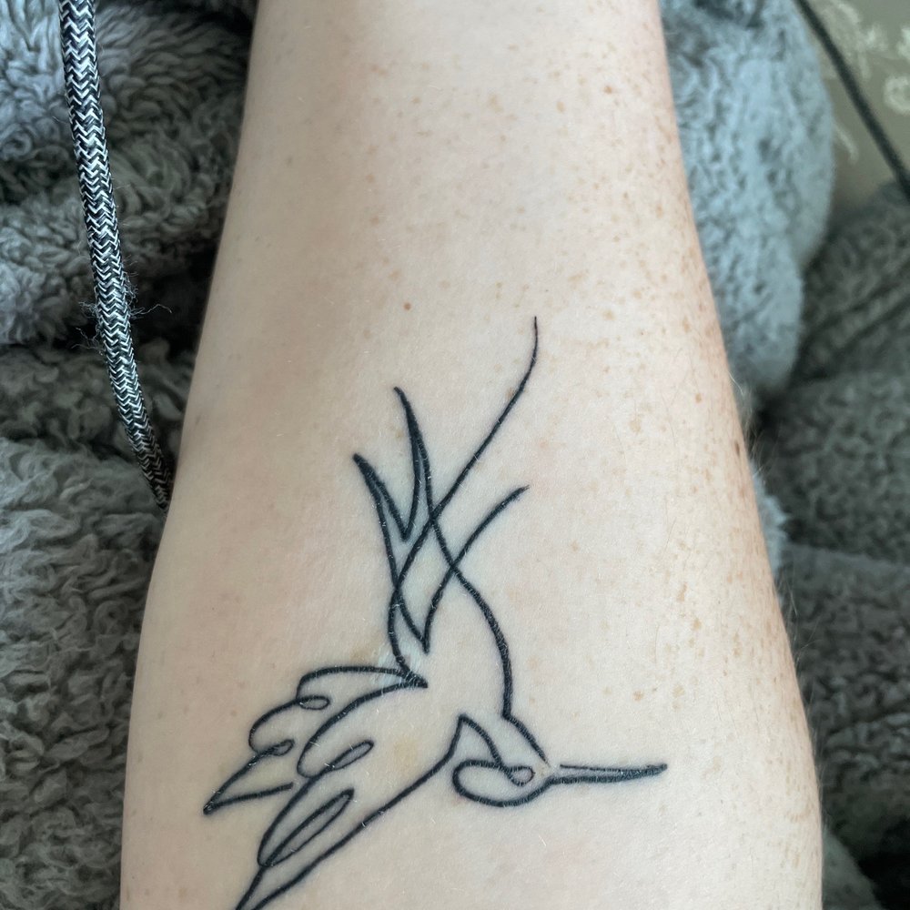 Northwest Tattoo - Lined Hummingbird... also it's fresh and healing - Tattoo Near Me - Eugene, Oregon Northwest Tattoo - Lined Hummingbird... also it's fresh and healing - Tattoo Near Me - Eugene, Oregon