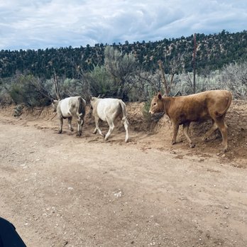 Roam Outdoor Adventure Co - ATV Rentals/Tours Near Me - Kanab, Utah Roam Outdoor Adventure Co - ATV Rentals/Tours Near Me - Kanab, Utah