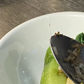 A+ Hong Kong Kitchen - Cantonese Near Me - Seattle, Washington