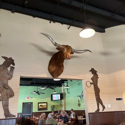 Texas A1 Steaks & Seafood - Longhorn looks sad?