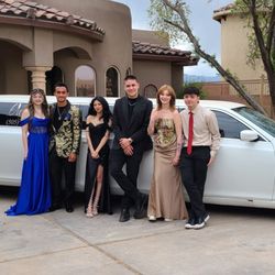Elegance Limousines & Black Car Services