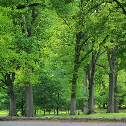 Belleville Park