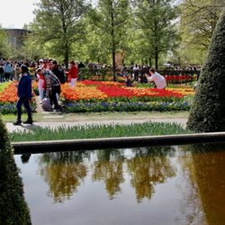Destination Travel - Holland Tulips
