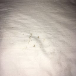 Blood stained sheets Blood stained sheets