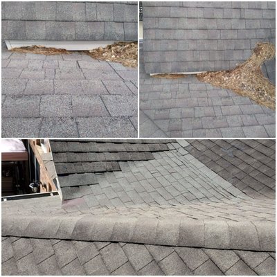 Larry Kuhn Roofing and More