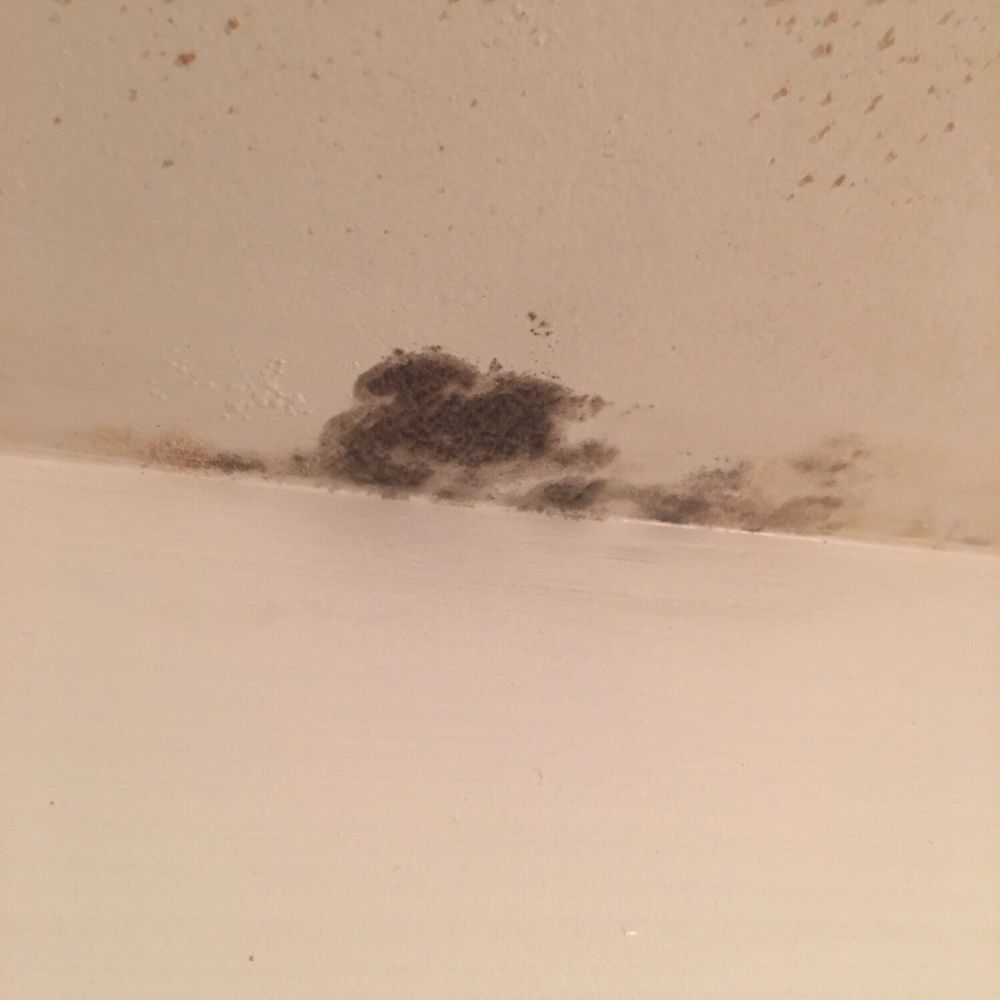 La Flora Hotel - Mold in the corners of the ceiling - Hotels Near Me - Miami Beach, Florida