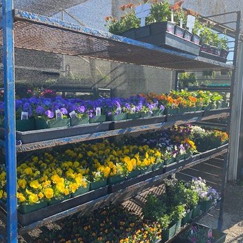 Pacific Nurseries - Nurseries & Gardening Near Me - Colma, California