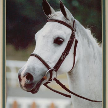 Desert Rose Ranch - Horseback Riding Near Me - Jupiter, Florida