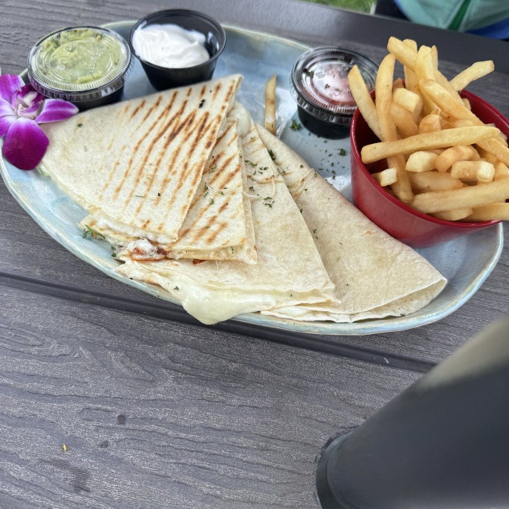 Plain Quesadilla Plain Quesadilla