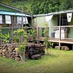 Halau Ku Mana New Century Public Charter