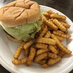Burger special with fries